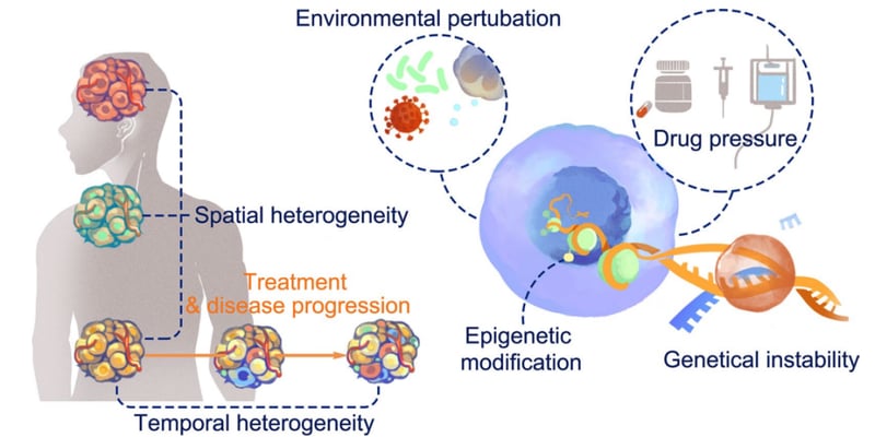 免疫治疗为何效果不一？肿瘤免疫微环境异质性深度解读与应对