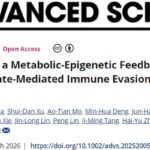 食管鳞癌免疫治疗耐药新机制：乳酸环路与破局方向