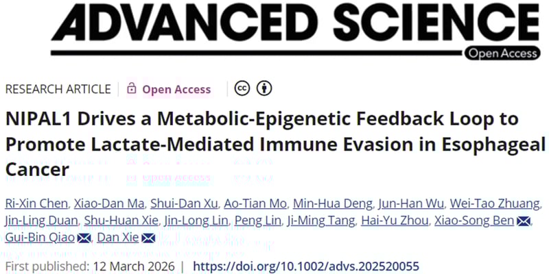 食管鳞癌免疫治疗耐药新机制：乳酸环路与破局方向