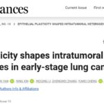 早期肺腺癌治疗新希望：揭秘KLF4/JDP2如何“重编程”癌细胞，突破异质性难题