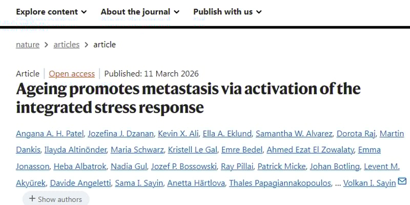 老年肺癌为何更易转移？Nature研究锁定ATF4新靶点
