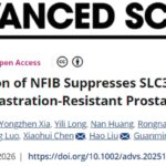 去势抵抗性前列腺癌新机制：NFIB如何让肿瘤躲过铁死亡