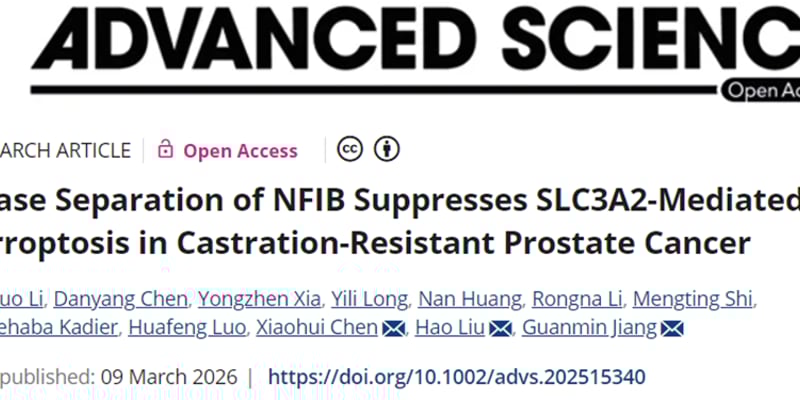 去势抵抗性前列腺癌新机制：NFIB如何让肿瘤躲过铁死亡