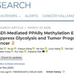 子宫内膜癌为何“嗜糖”更凶？NSD1-PPARγ-PTEN轴与AKT靶向治疗思路一次讲清