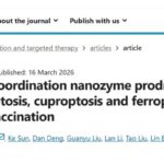 Cu–DHN纳米酶前药：原位癌症疫苗思路与细胞焦亡机制解读