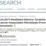 胃癌为什么容易转移？新研究锁定CAF-GAL3ST1通路