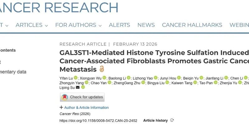 胃癌为什么容易转移？新研究锁定CAF-GAL3ST1通路