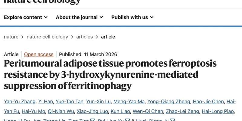 肿瘤周围脂肪竟然是帮凶？揭秘癌细胞耐药新机制与潜在突破
