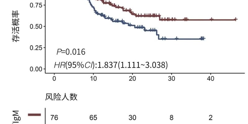 不可切除肝细胞癌TACE三联治疗怎么选？IgG/IgM预后与手术机会深度解读