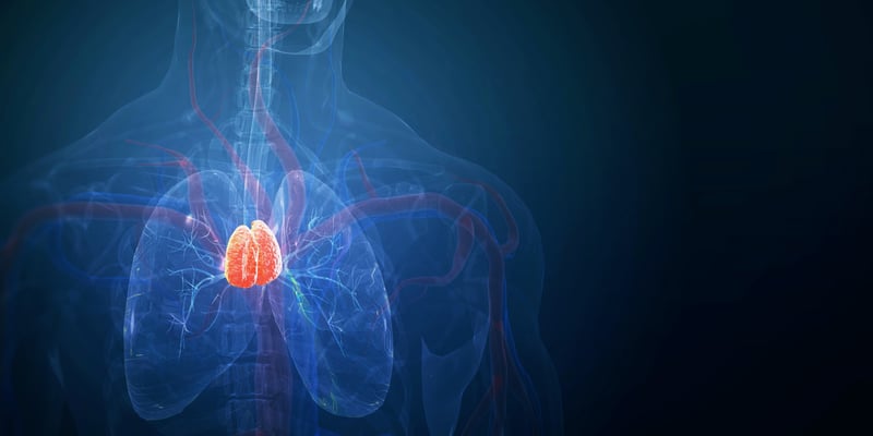 胸腺健康与癌症风险、免疫治疗疗效有什么关系？一文看懂关键证据