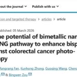 BiTE双特异性抗体治疗实体瘤为何“难起效”？结直肠癌纳米“增效方案”讲清楚