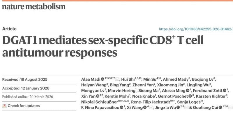 肿瘤免疫治疗为何存在性别差异？DGAT1与CD8+T细胞代谢机制深度解读