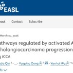 肝内胆管癌为什么对免疫治疗“不敏感”？YAP或是关键“降温器”，联合PD-(L)1有望破局