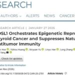 甲状腺未分化癌（ATC）为何进展这么快？研究提示：FOSL1“改写染色质”让NK细胞杀不动