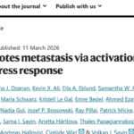老年人肺腺癌为何更易转移与免疫逃逸？读懂ATF4-ISR与LCN2的新线索