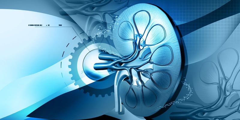 肾细胞癌血小板增多意味着什么？一文看懂预后风险、检测价值与治疗决策