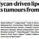 维生素E补充剂会“喂养”癌细胞吗？铁死亡机制讲清楚，患者如何安全补充