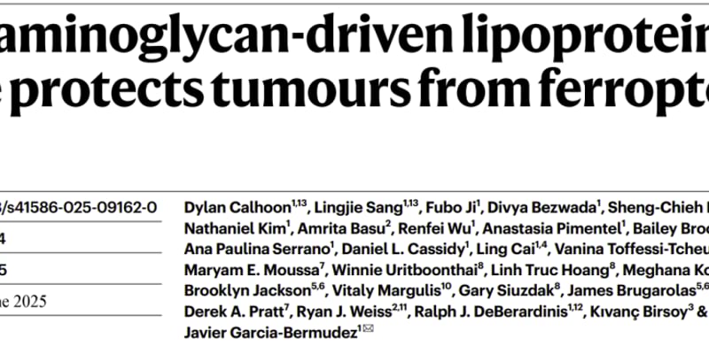 维生素E补充剂会“喂养”癌细胞吗？铁死亡机制讲清楚，患者如何安全补充