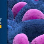 三阴性乳腺癌新希望：TROP2 ADC靶向药如何精准击破顽疾？