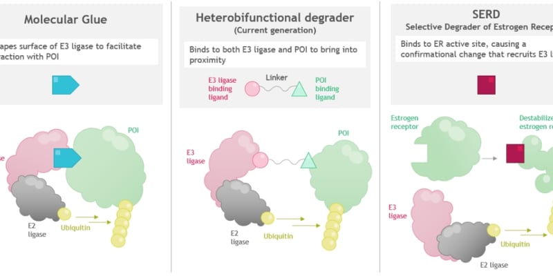 靶向蛋白质降解TPD抗癌新疗法：PROTAC机会与风险