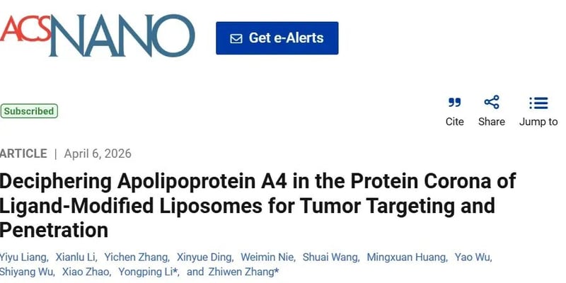 乳腺癌纳米药物怎么提高肿瘤渗透？脂质体蛋白冠与ApoA4机制深度解析