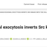 Src靶点抗癌新突破：多种实体瘤治疗机制、前沿药物与患者应对全解析