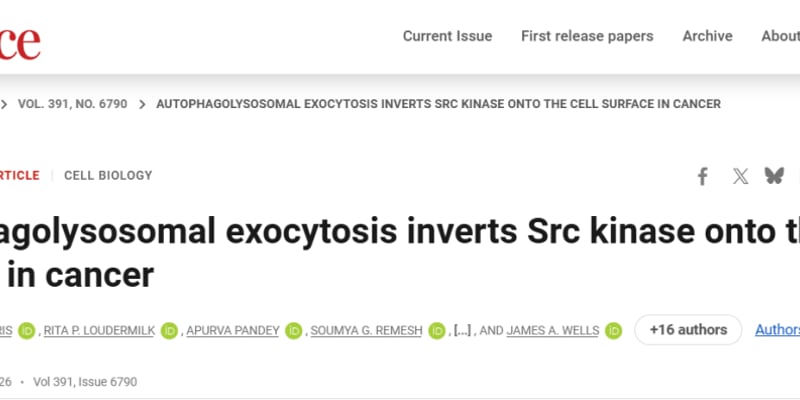 Src靶点抗癌新突破：多种实体瘤治疗机制、前沿药物与患者应对全解析