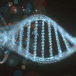 BRCA1遗传性乳腺癌风险怎么评估？先天免疫与更早发病关系解析