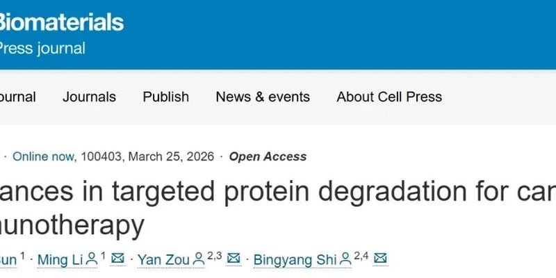 靶向蛋白降解与癌症免疫治疗全解析：肿瘤微环境、耐药与前沿方案