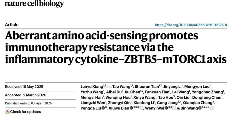 肿瘤免疫治疗耐药怎么破？mTORC1炎症通路机制与新靶点解读