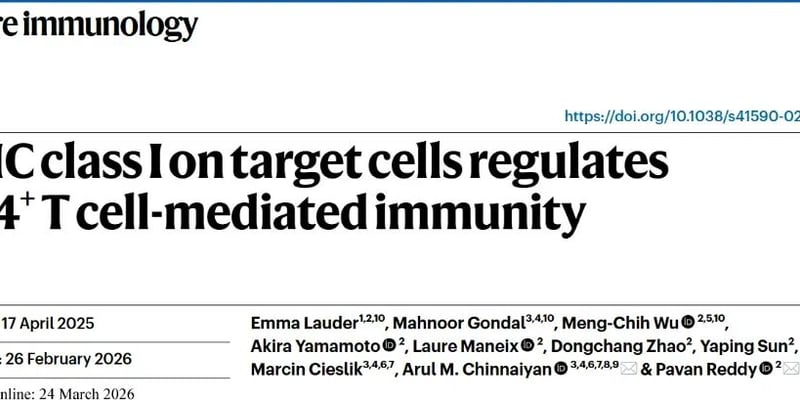 MHC I低表达肿瘤免疫治疗新线索：CD4T细胞与铁死亡