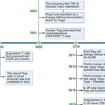 肿瘤免疫逃逸的“幕后黑手”：深度解析Treg细胞机制与前沿靶向治疗方案
