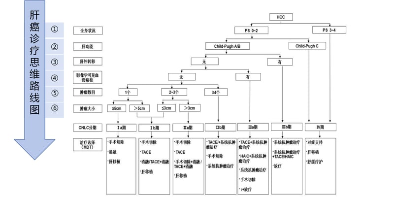 2026最新原发性肝癌诊疗指南：如何根据CNLC分期精准制定“救命”方案？