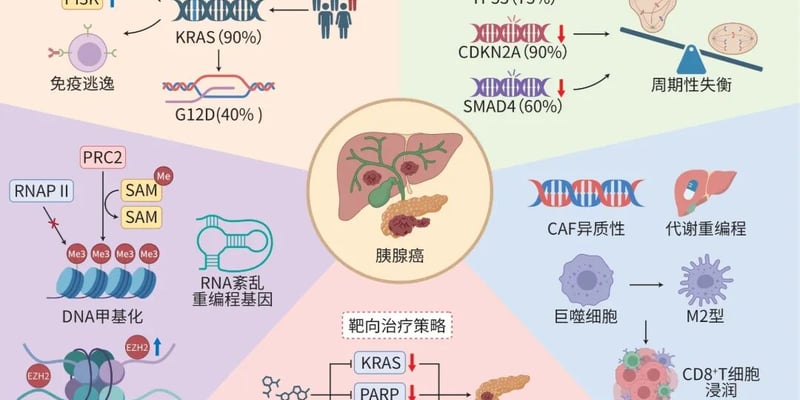 胰腺癌靶向治疗新突破：解析KRAS与DNA修复基因突变，精准攻克“癌王”耐药困境