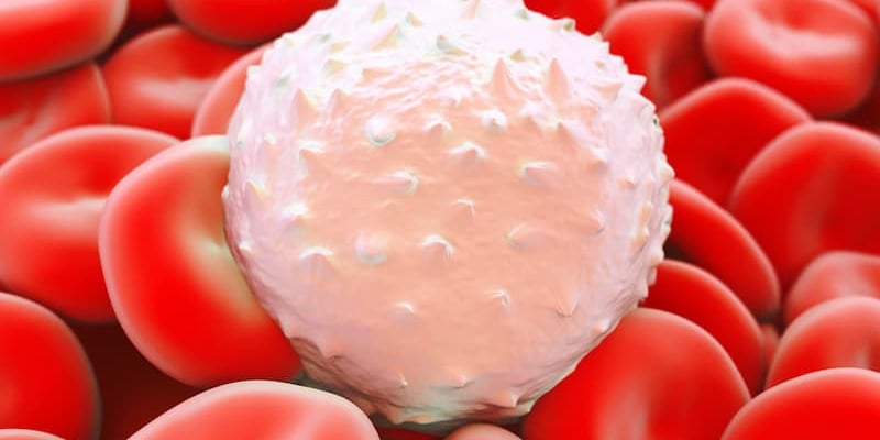 泽布替尼治疗慢性淋巴细胞白血病最新数据：六年生存获益与副作用管理指南