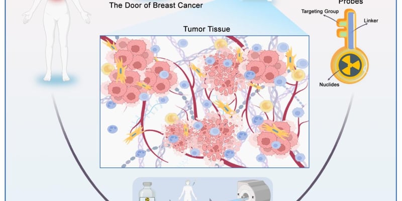 乳腺癌精准诊疗突破：多维靶向PET探针如何精准锁定微小转移灶与耐药靶点