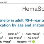成人大B细胞淋巴瘤IRF4重排怎么治？瑞金医院最新研究揭示精准分型与生存期差异