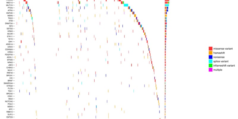 肉瘤基因检测怎么选？真实世界数据力证DNA-RNA双重NGS筛出更多靶向药生机