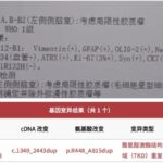 胶质瘤查出FGFR1突变怎么办？深度解析MAPK通路变异型诊疗与靶向药方案