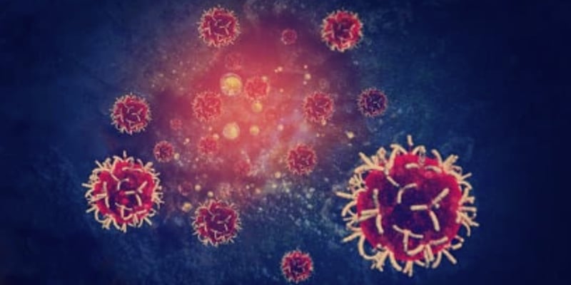 ASCO 2026突破：膀胱癌免疫联合ADC疗效翻倍，肺癌罕见突变期达41个月
