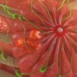 乳腺癌患者要不要做化疗？FDA获批最新AI评估系统，1天出结果精准预判转移风险
