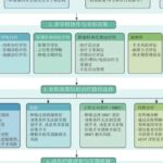 老年肺癌治疗怕过度也怕保守？伞形决策模式助高龄患者精准定制生存指南