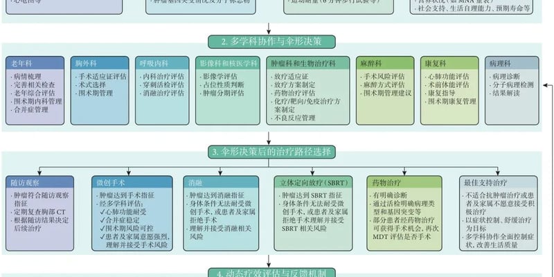 老年肺癌治疗怕过度也怕保守？伞形决策模式助高龄患者精准定制生存指南