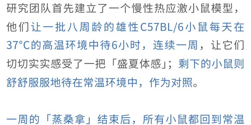 低温环境竟然能“饿死”肿瘤？最新研究揭示棕色脂肪抑癌与放疗增敏机制