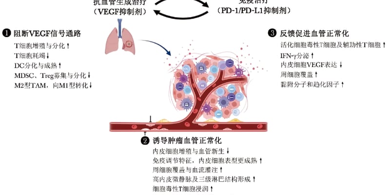 非小细胞肺癌免疫耐药怎么破？抗血管生成联合免疫治疗协同机制与最新突破