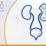 晚期肾癌一线IO/TKI靶免联合治疗怎么选？三大临床研究数据对比与个体化用药指南