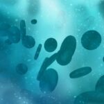 Orca-T获FDA批准：革新造血干细胞移植，如何大幅降低GVHD风险？