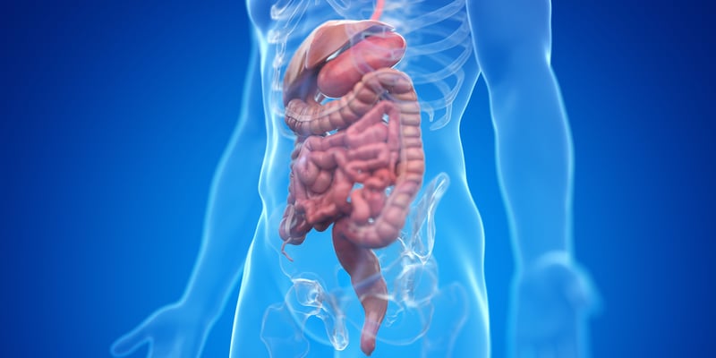 2026 ESMO GI消化道肿瘤前沿：结直肠癌、胰腺癌与肝癌靶向免疫最新进展