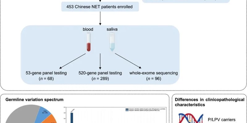 神经内分泌肿瘤遗传风险大揭秘：11.5%存在胚系突变，高危患者如何应对转移？