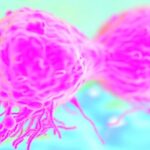 早期高危三阴性乳腺癌长效生存突破！KEYNOTE-522终极随访数据详解